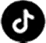 TikTok Icon